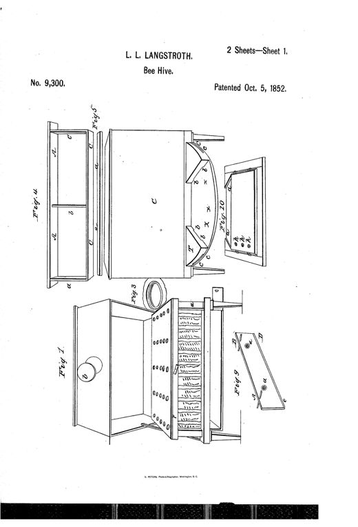 Exploded technical drawing of a wooden beehive box showing removable comb frames, a hinged door with rows of round ventilation holes, and a shallow honey chamber fitted above the brood combs.