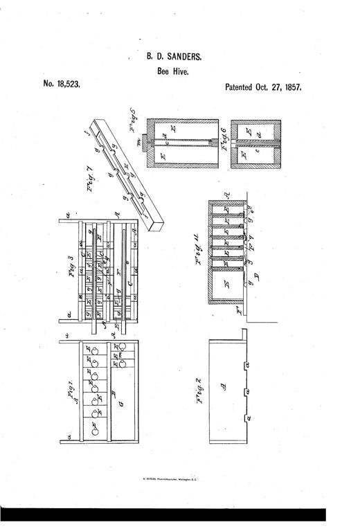 Technical patent drawing showing seven figures of a wooden beehive: a top plan view with rows of boxes labeled E and circular entrances, a front view with notched side extensions, an inverted bottom view showing internal ledges and grooves, a tall vertical cross-section revealing stacked honey boxes E with moth trap strips F, two smaller sectional views showing paired boxes divided by a transparent partition c,d and strap m, and a perspective view of a single grooved moth trap strip with alternating inlet holes g.