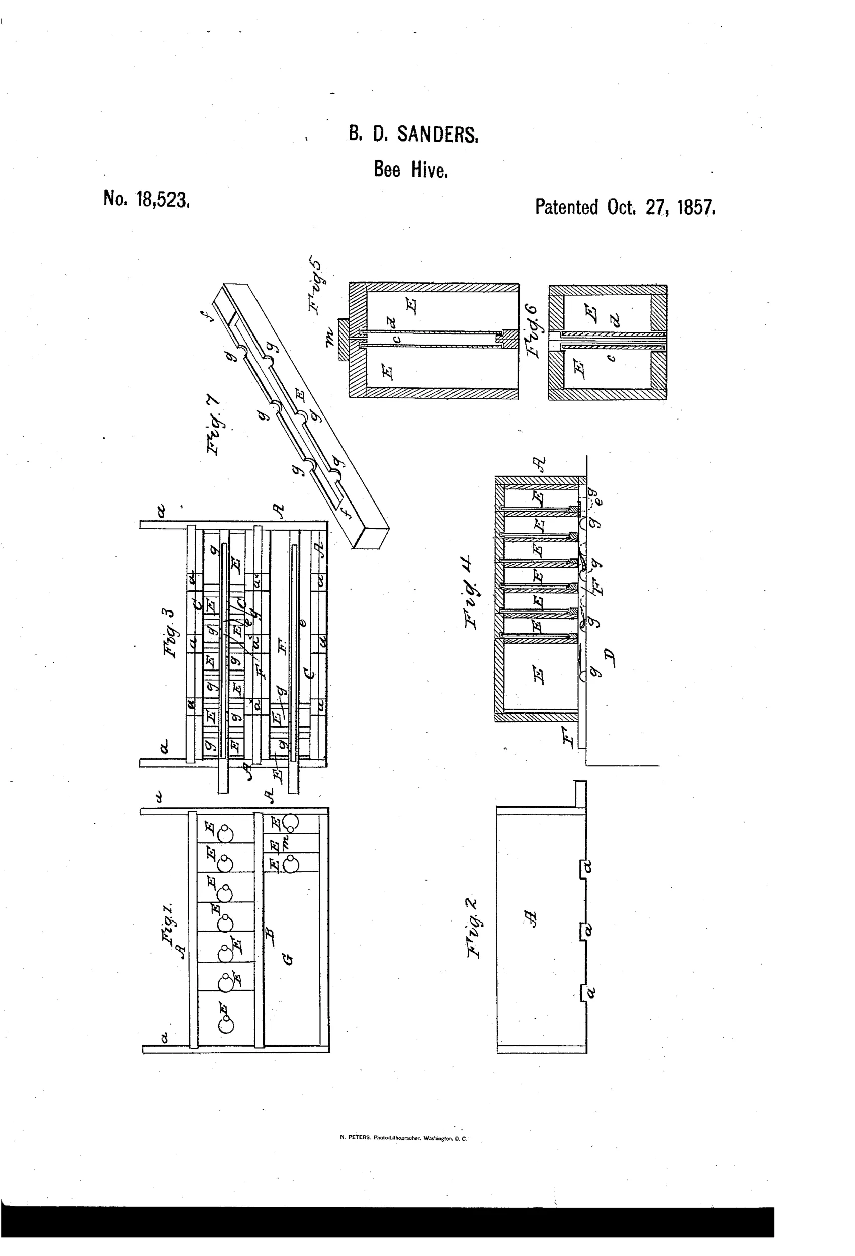 Technical patent drawing showing seven figures of a wooden beehive: a top plan view with rows of boxes labeled E and circular entrances, a front view with notched side extensions, an inverted bottom view showing internal ledges and grooves, a tall vertical cross-section revealing stacked honey boxes E with moth trap strips F, two smaller sectional views showing paired boxes divided by a transparent partition c,d and strap m, and a perspective view of a single grooved moth trap strip with alternating inlet holes g.