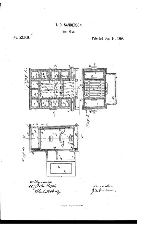Patent drawing of a wooden beehive with three sectional views showing a central brood chamber flanked by compartments for sliding spare honey boxes, side ventilation tubes with perforated plates, and a front feeding box with a glass door.