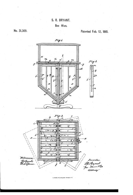 Patent drawing of a wooden double beehive shown in vertical and horizontal section, with hinged comb frames swinging from a central partition above sloped double bottoms, plus a detail of a single V-topped comb frame with a vertical guide strip.