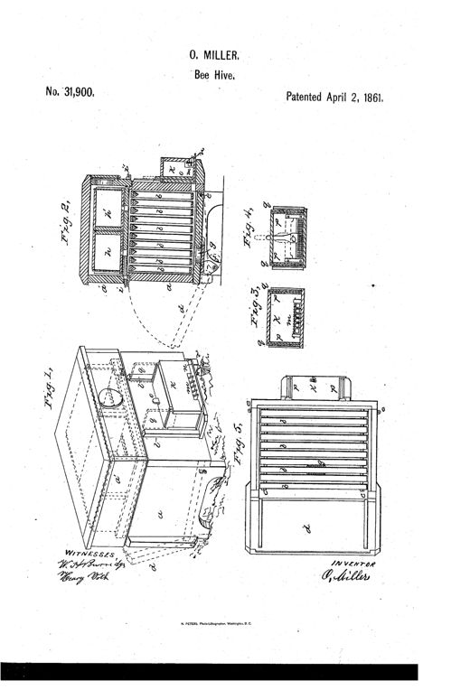Patent drawing of a wooden beehive with a hinged back, stacked movable comb frames, and a small attached rectangular drone/robber trap box fitted with hinged doors and glass side panels.