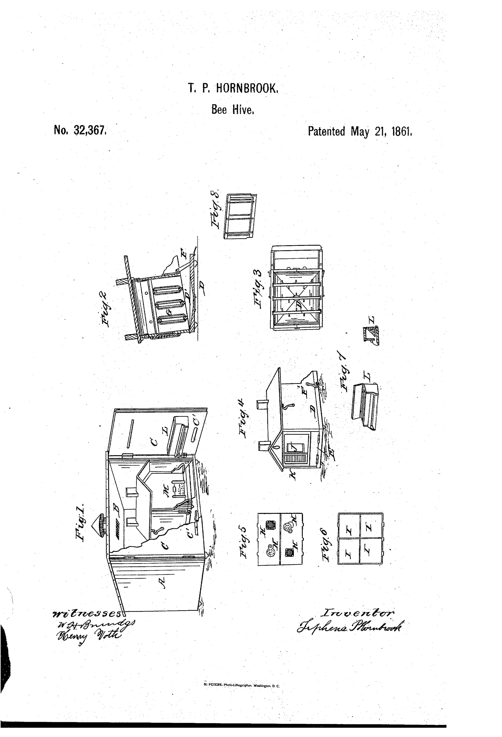 Patent drawing showing a wooden beehive with hinged door open to reveal comb frames inside an outer protective case, plus detail views of the feeding box, honey boxes, comb frame, and ventilator floor.
