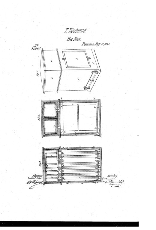 Patent drawing showing a wooden beehive box in perspective with a hinged lid and glass inspection window, plus two cross-section views revealing rows of narrow triangular comb frames held by V-shaped wire stops inside the case.