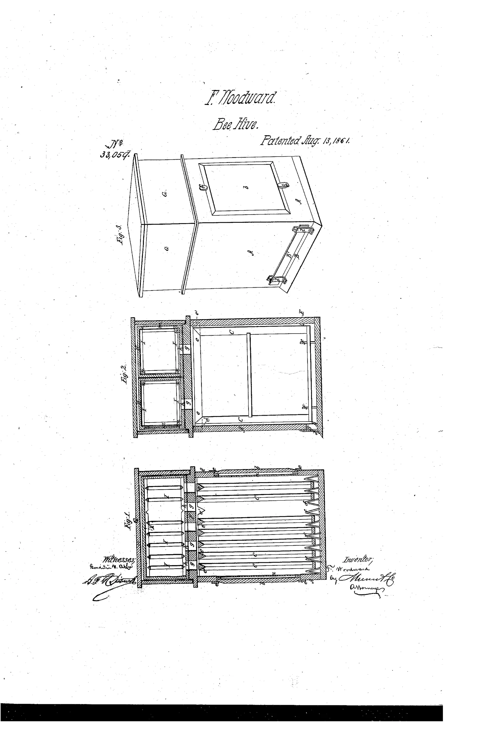 Patent drawing showing a wooden beehive box in perspective with a hinged lid and glass inspection window, plus two cross-section views revealing rows of narrow triangular comb frames held by V-shaped wire stops inside the case.