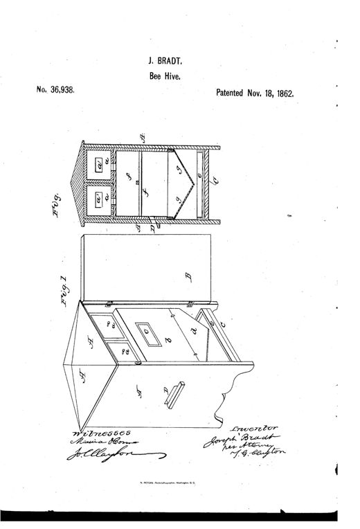 A patent drawing showing two views of a wooden bee hive: a full perspective view with the door open revealing internal glass-fronted honey boxes and comb bars, and a cross-sectional side view showing the inclined metal bottoms leading to a bottom drawer.