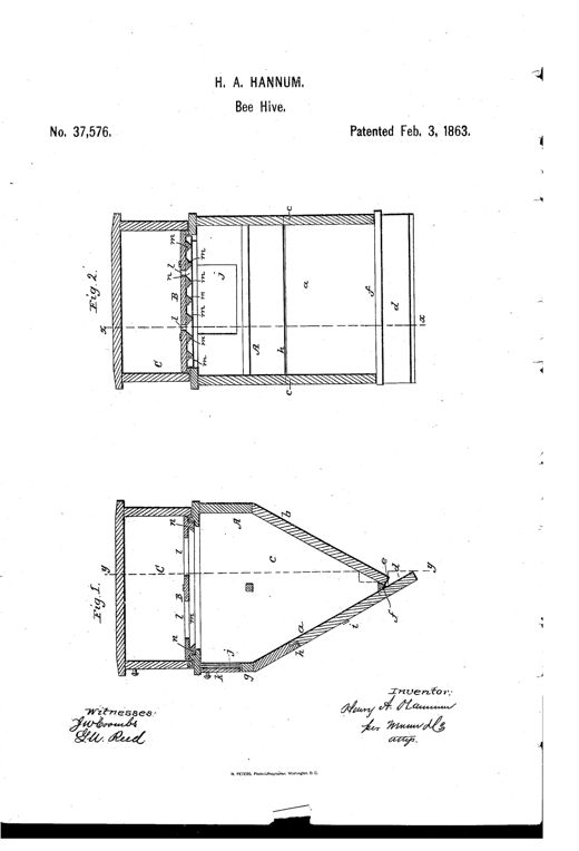 Two technical line drawings of a wooden beehive, one showing a side vertical section with an inclined alighting board and entrance, and the other showing an internal cutaway with parallel V-shaped comb bars and cleats supporting a removable top cover.