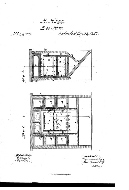 Two labeled technical drawings of a wooden beehive box showing an inclined slatted bottom, hinged back, and multiple stacked and side slide-drawers with perforated partitions for bee passage.
