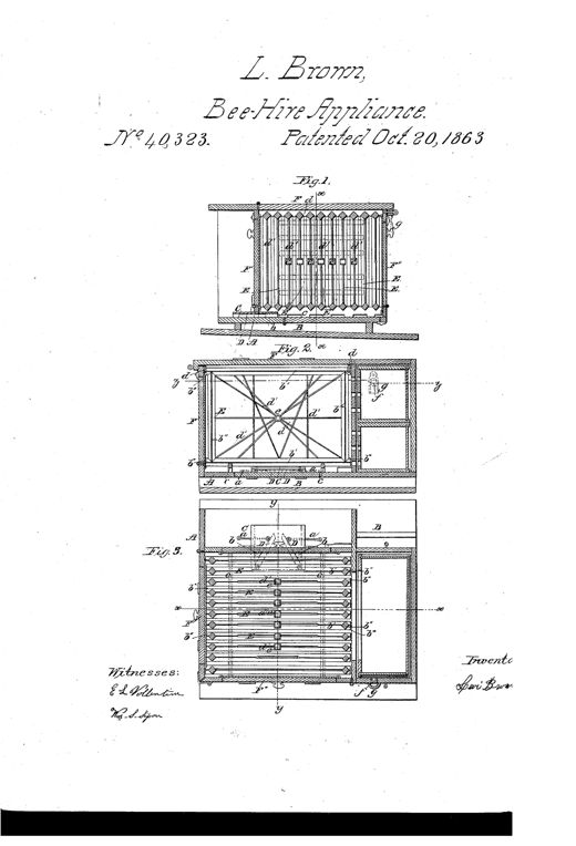 Patent drawing of a wooden bee-hive with three sectional views showing rows of movable diamond-shaped frames, hinged entrance shutters, and a round ventilating button on the side.