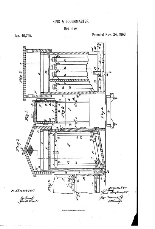 Patent line drawings of a wooden bee hive showing the body with inclined floor and front entrances, internal movable frames, a honey-board, ventilation slide, and a peaked cap, labeled with reference letters across seven figures.