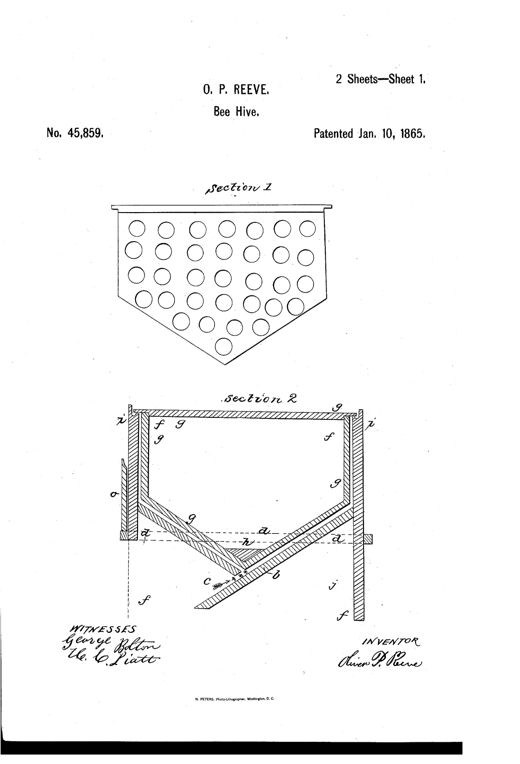 Patent drawing of a wooden beehive showing a perforated front panel with comb-guide holes, an internal cross-section with inclined bottom planes and moth apartment, and a perspective view of the assembled hive with a peaked super on top, surplus honey-boxes, and an entrance door at the base.