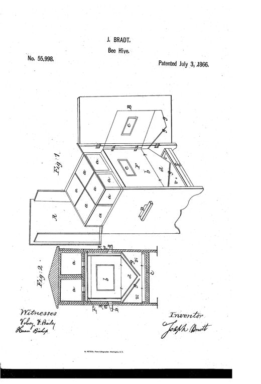 Patent drawing of a wooden bee-hive shown in perspective with its hinged top and front door open, revealing stacked honey boxes and a central brood chamber with comb frames, alongside a vertical cross-section labeled with interior parts.