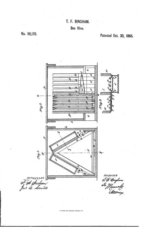 Patent drawing of a wooden beehive box showing triangular comb-frames arranged inside a rectangular case, with end views of the frame guides and clamp bar, and a cross-sectional triangular frame detail with hatched wood sections.