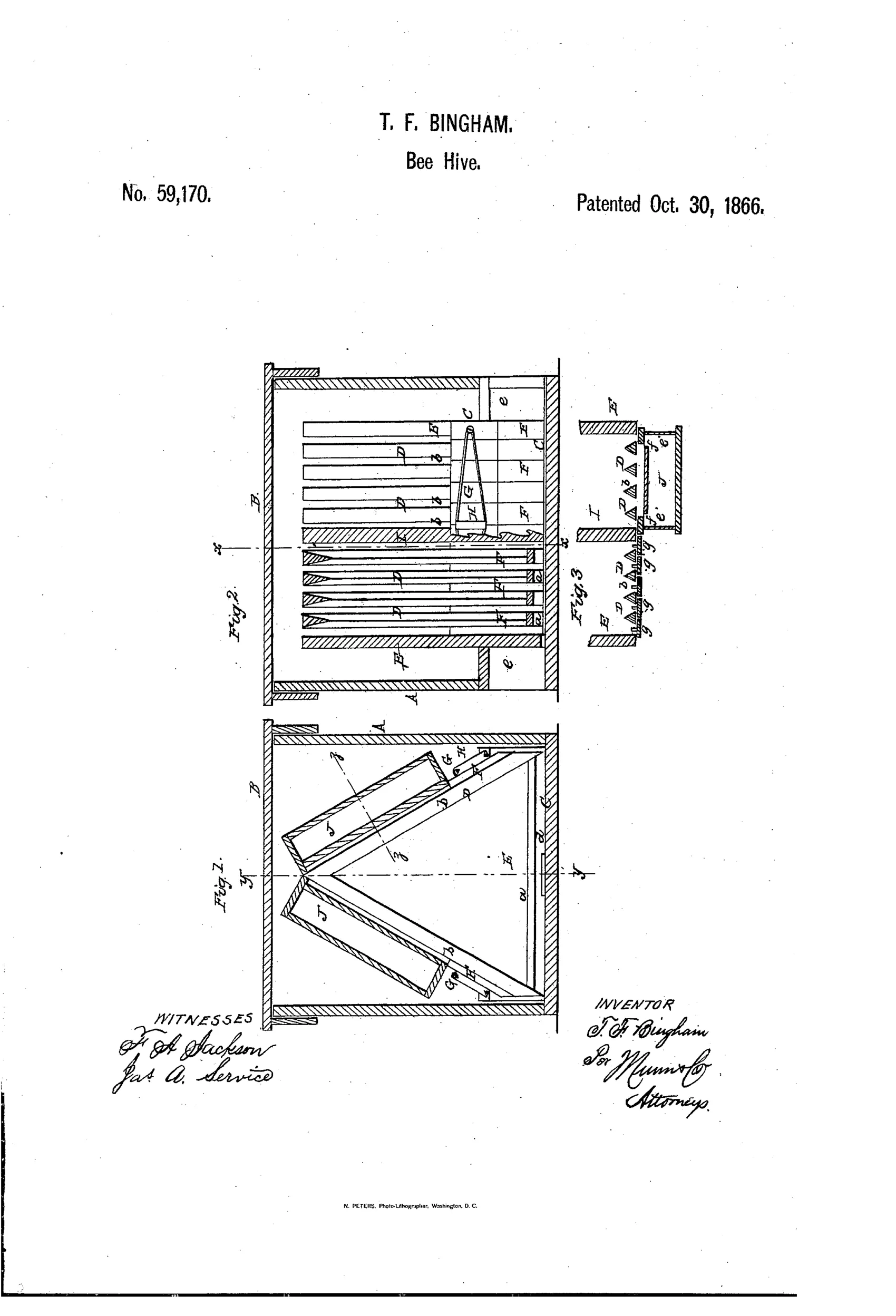 Patent drawing of a wooden beehive box showing triangular comb-frames arranged inside a rectangular case, with end views of the frame guides and clamp bar, and a cross-sectional triangular frame detail with hatched wood sections.