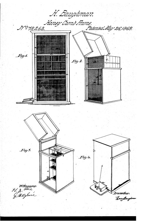 Four line-drawing perspectives of a wooden bee-hive box, showing the enclosed comb-frames with wire-gauze fronts, a hinged sloped lid, an interior feeding frame with small troughs and tubes, and the fully closed hive with a small projecting entrance box at its base.