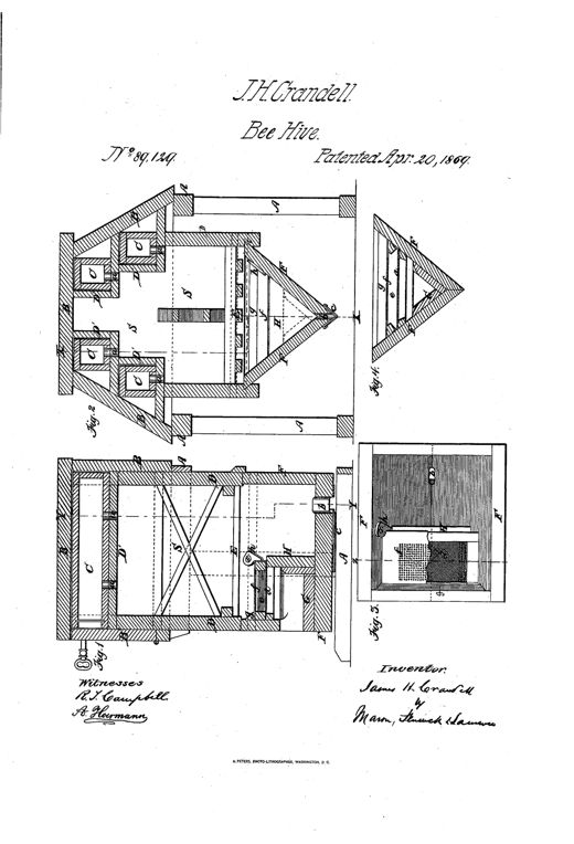 Patent drawing of a wooden bee hive shown in cross-section with upper honey boxes, a lower V-shaped angular chamber containing a partitioned moth-trap with screens and a removable drawer, plus a top view of the trap bottom.
