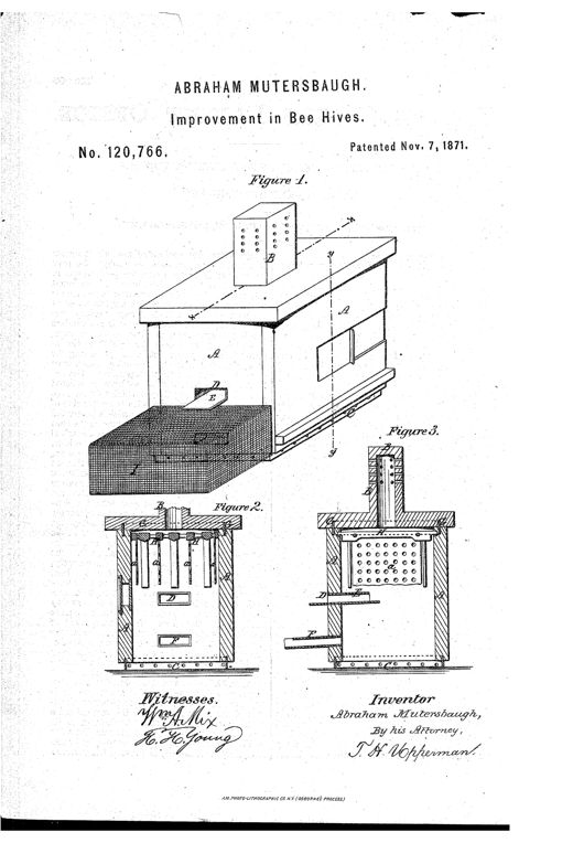 Line drawing of a wooden bee-hive box with a perforated cupola on top, vertical metal side plates, an entrance trough and wire mesh screen at the front, alongside two cutaway side-section views labeled Figure 2 and Figure 3 showing internal comb racks and perforated ventilation openings.
