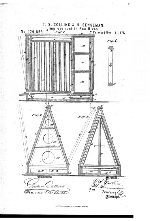 Patent drawing of a peaked Gothic-style bee-hive shown in longitudinal section with triangular comb-frames, stacked honey-boxes, a double-bottom base with feed drawers, and two triangular end-view cross-sections labeled Fig. 2 and Fig. 3.
