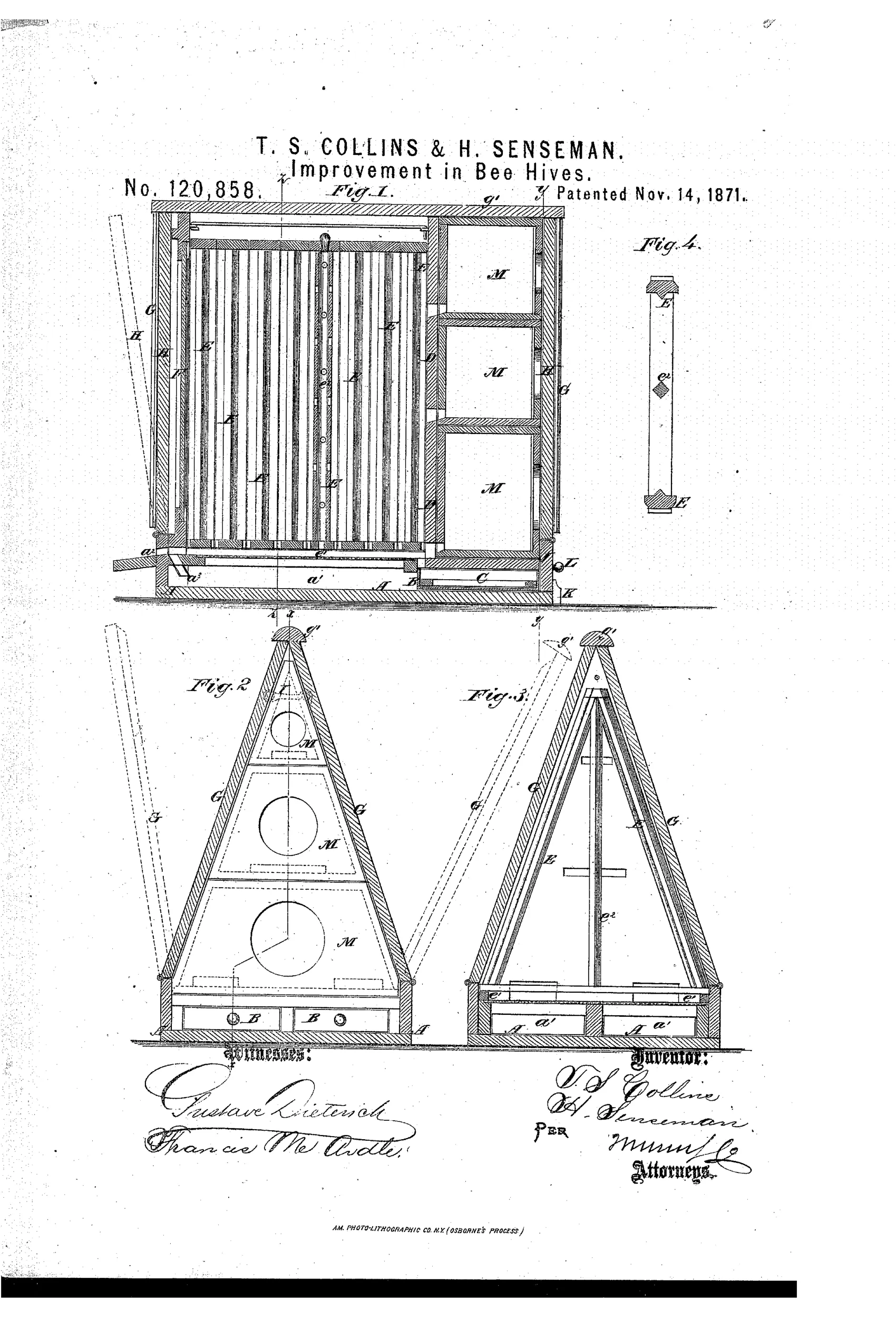 Patent drawing of a peaked Gothic-style bee-hive shown in longitudinal section with triangular comb-frames, stacked honey-boxes, a double-bottom base with feed drawers, and two triangular end-view cross-sections labeled Fig. 2 and Fig. 3.