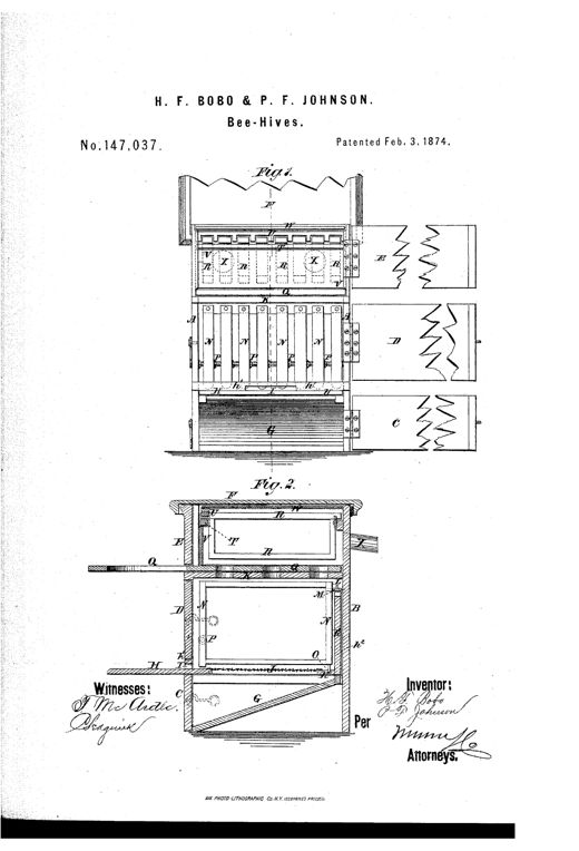 Patent drawing of a wooden bee-hive with front doors open showing rows of hinged comb-frames, a honey-box above with glass panels, and a sliding bottom with wire gauze below.