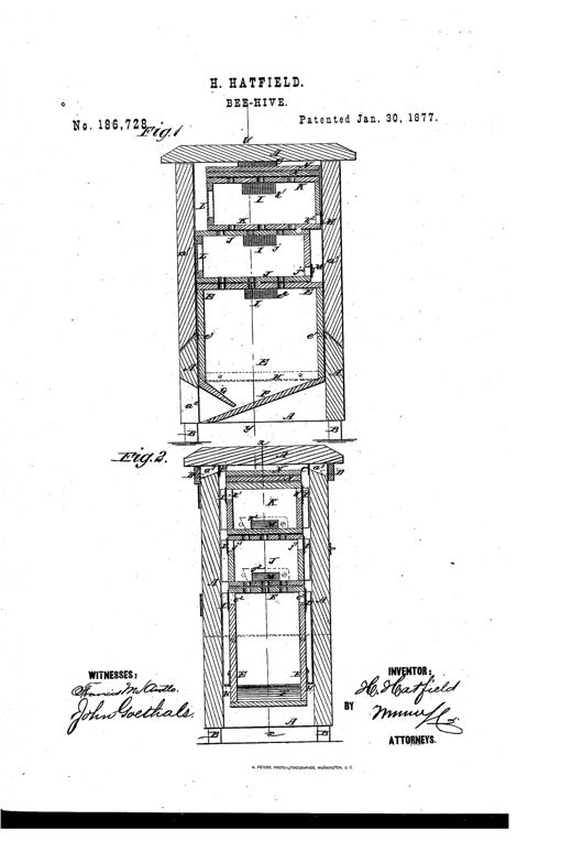 Patent drawing showing two vertical sections of a wooden bee-hive with an outer case, inner bee-chamber, stacked honey boxes with glass inspection windows, hinged vent doors, and labeled parts A through N.