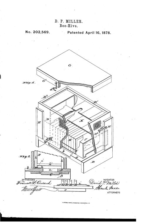 An exploded perspective drawing of a wooden beehive showing a flat lid with a rim lifting off a rectangular body, revealing internal comb-frames, honey boxes, and a division board, with a smaller detail drawing below showing the frame foot and base strip.
