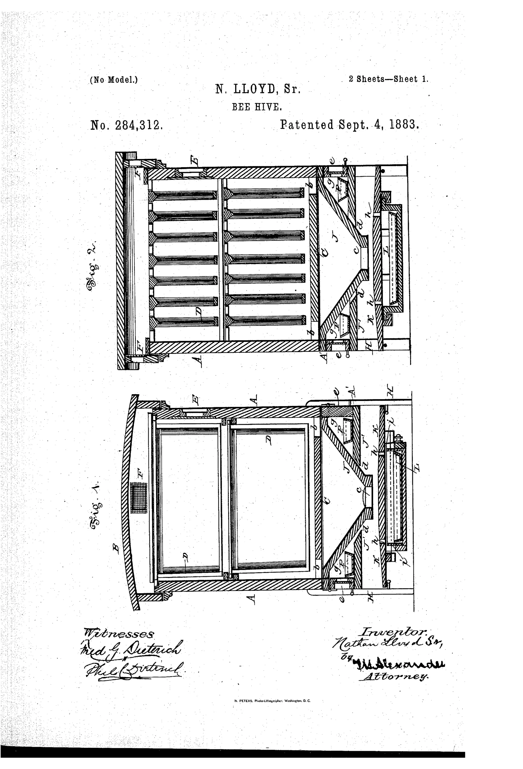 Patent drawings show a wooden beehive with dovetailed corners, a curved removable roof with a screened vent, glass observation windows on the sides, a hopper-shaped bottom section for catching moths, and a slide-out drawer moth-trap with glass windows beneath legs; two interior cross-section views reveal stacked rows of comb-frames above a funnel-shaped chamber with pans and perforated inclined table.