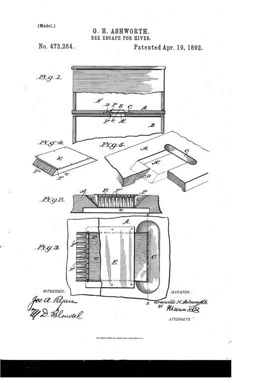 Patent drawing of a wooden beehive with a cutaway board showing a rectangular escape tube fitted with hanging guard-fingers between the brood and storage chambers, plus detail views of the escape case and board opening.